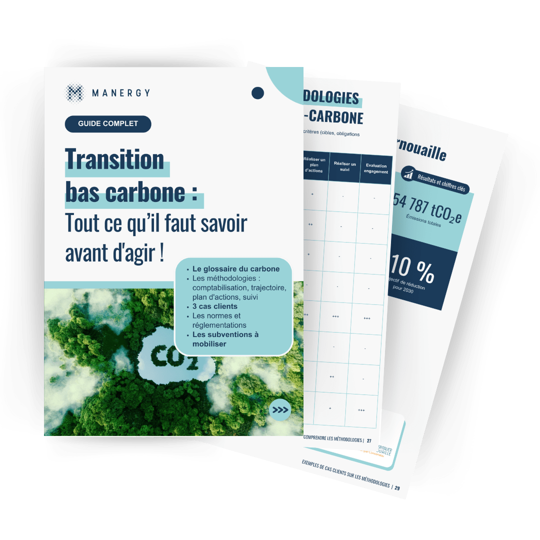 LP-guide-carbone